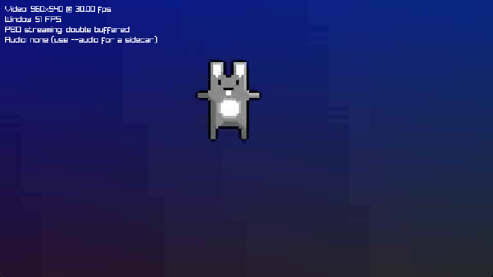 A bunny clip uploaded through the double-buffered PBO video path